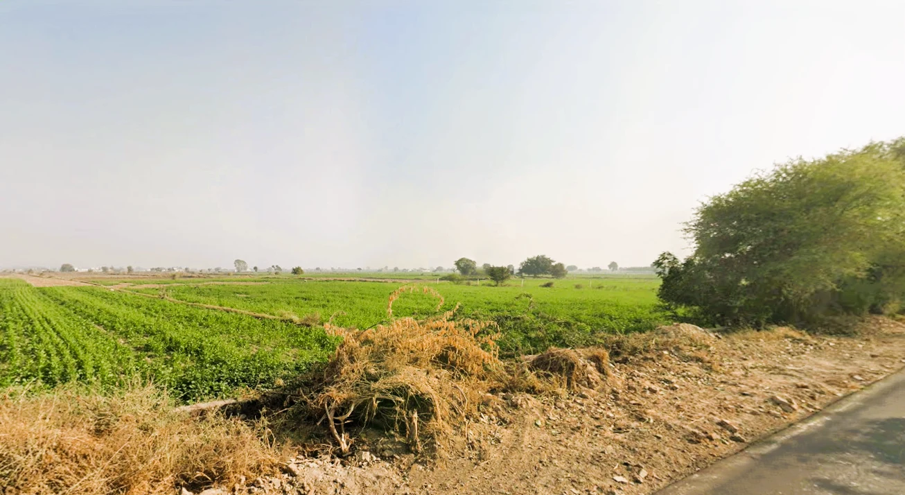 Bawani Khera, Haryana 127032, India