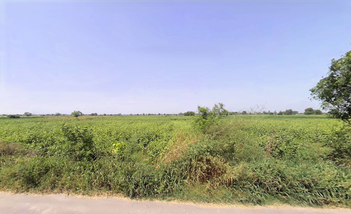 Bawani Khera, Haryana 127032, India