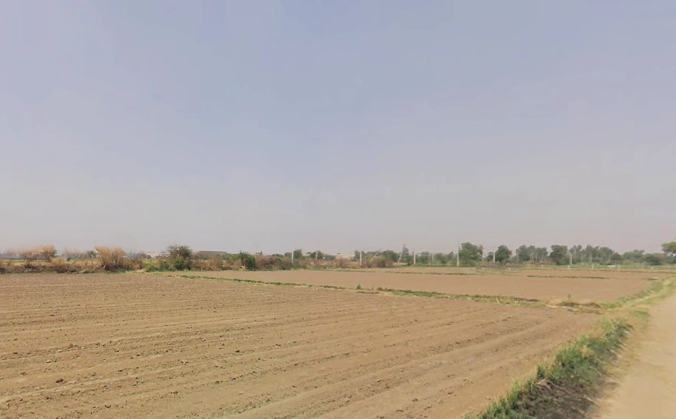 Pirthla, Haryana, India