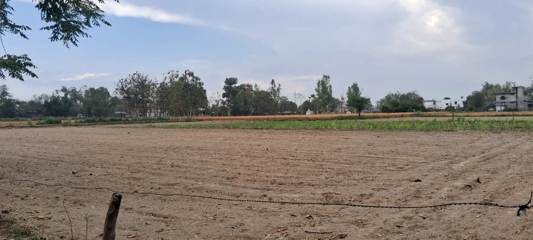 Nakodar, Punjab 144040, India