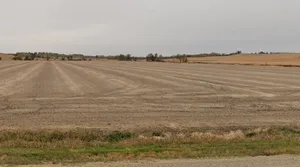 Ambachandan, Madhya Pradesh, India preview 3