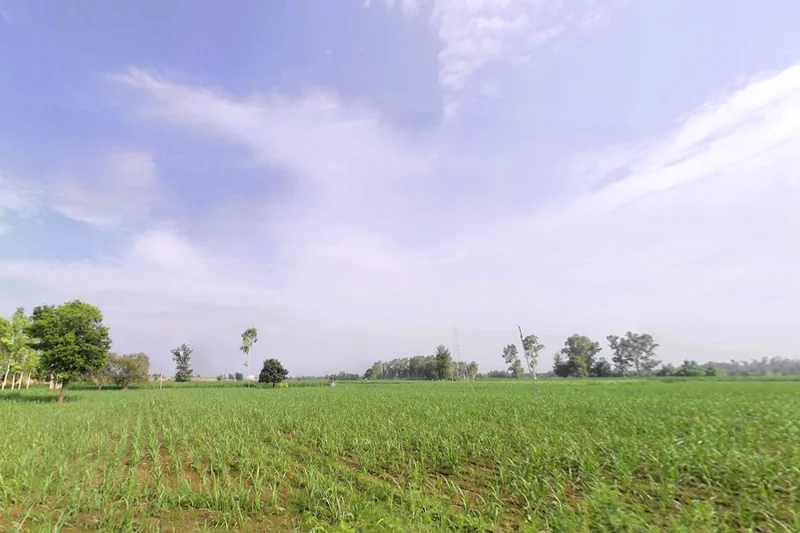 Mirapur, Uttar Pradesh, India preview 3