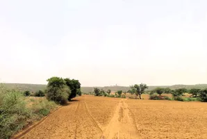 Raiseena, Haryana 122102, India preview 3