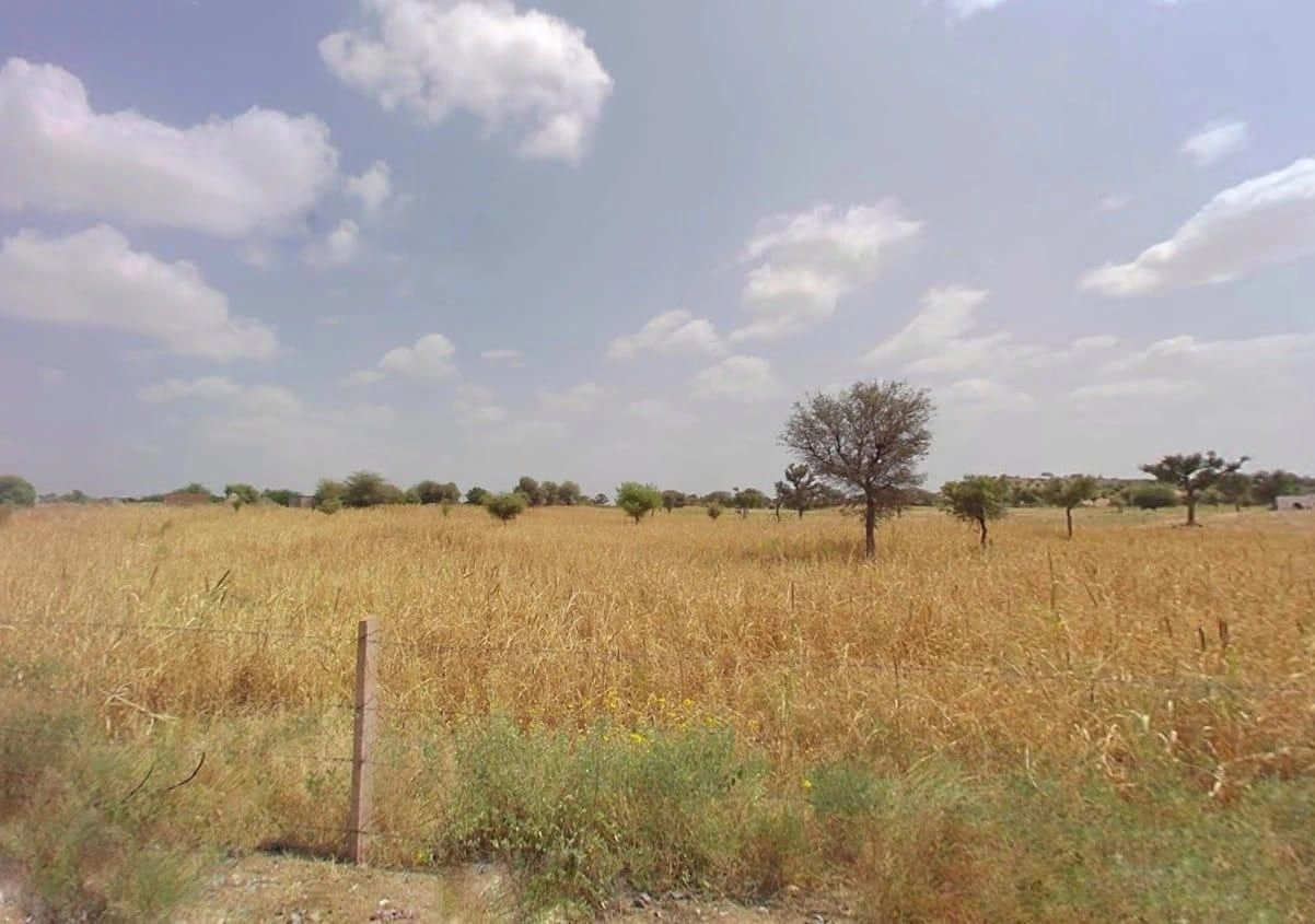 JP9P+MC6, Thawariya, Rajasthan 334802, India