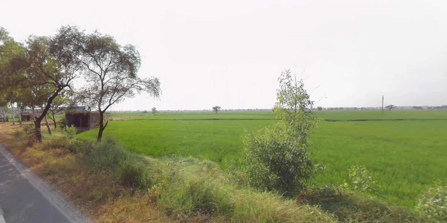 Beri, Haryana 124201, India