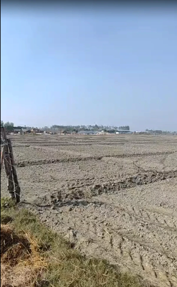 Biswan, Uttar Pradesh 261201, India