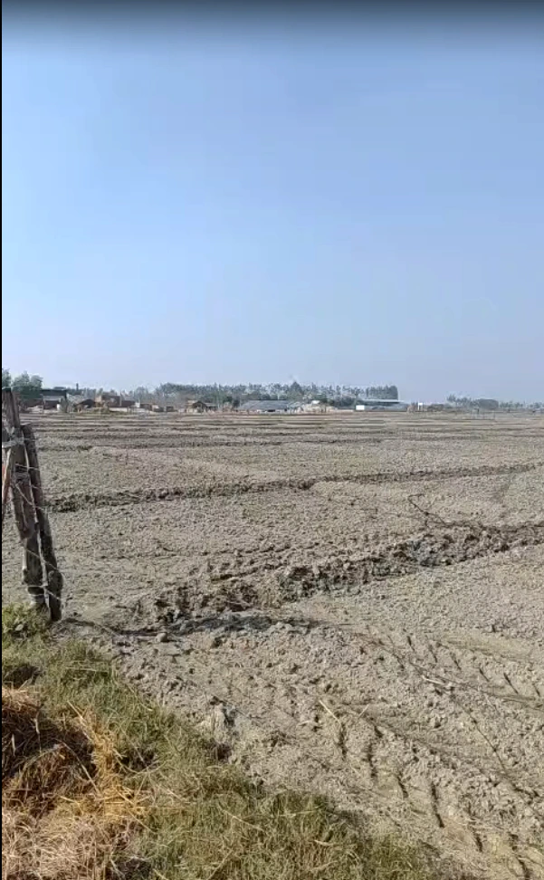 Biswan, Uttar Pradesh 261201, India