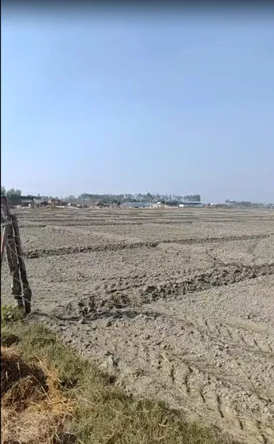 Biswan, Uttar Pradesh 261201, India preview 3