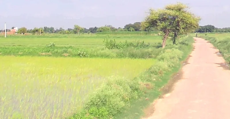 Barkheda Salam, Madhya Pradesh 462030, India preview 2