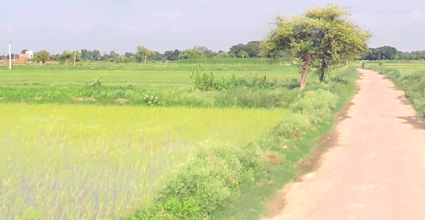 Barkheda Salam, Madhya Pradesh 462030, India