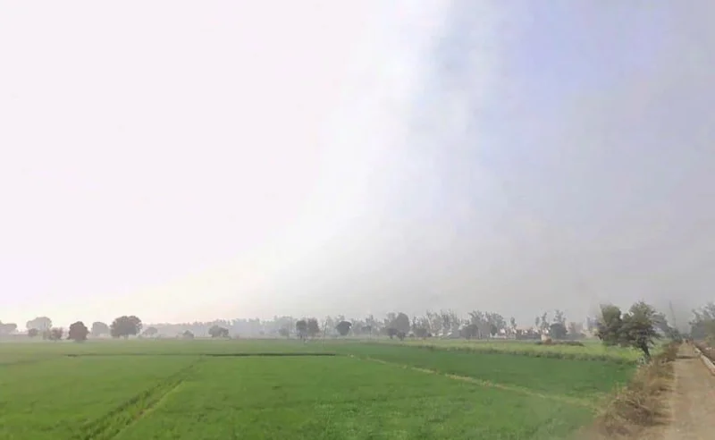 Mahua Hwy, Toda Nagar, Rajasthan, India preview 3