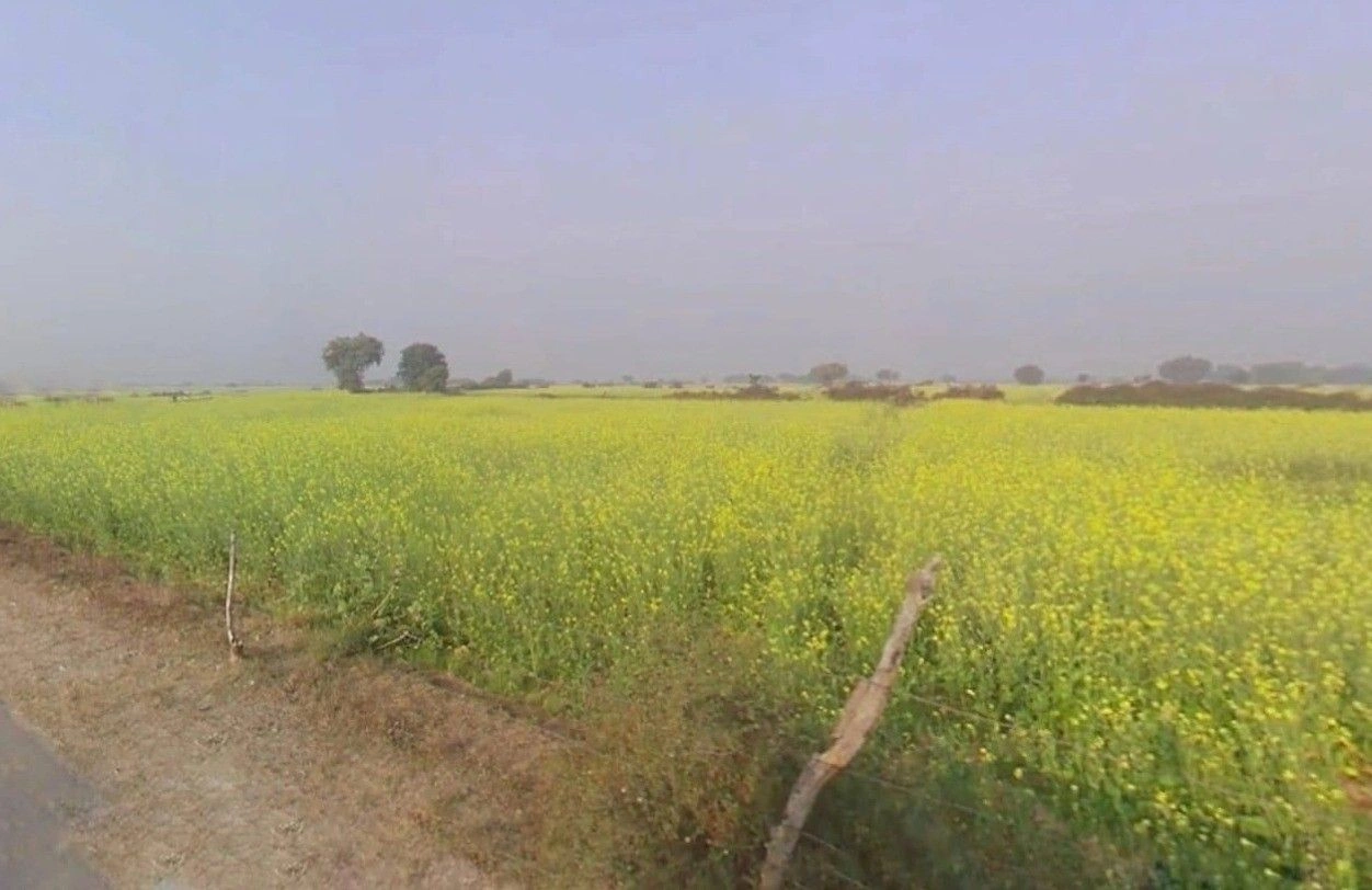 9J55+74 Mohani, Rajasthan, India preview 3