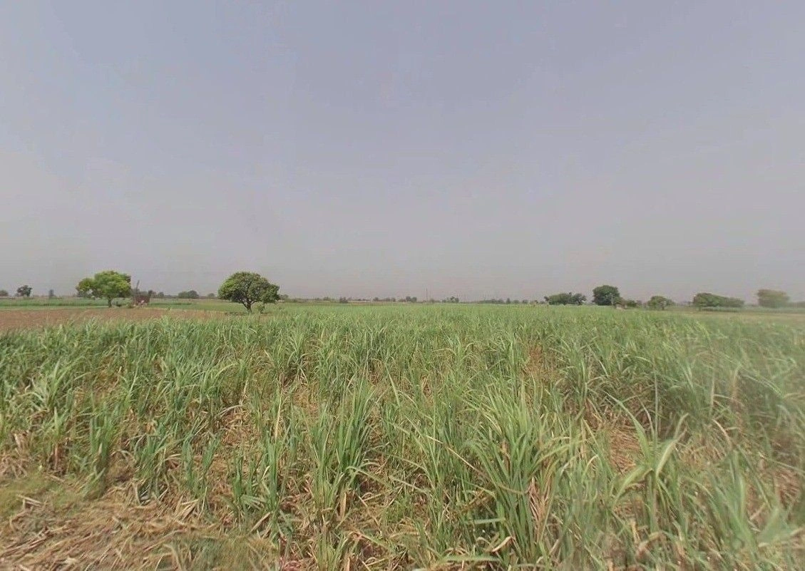 QQQ5+679, Ram Garhi Rd, Kaili, Uttar Pradesh 245206, India