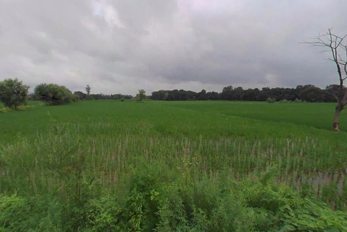 Pahasu, Uttar Pradesh 203396, India