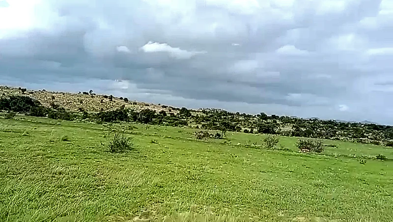 XMPF+QW Palasamudram, Andhra Pradesh, India preview 3