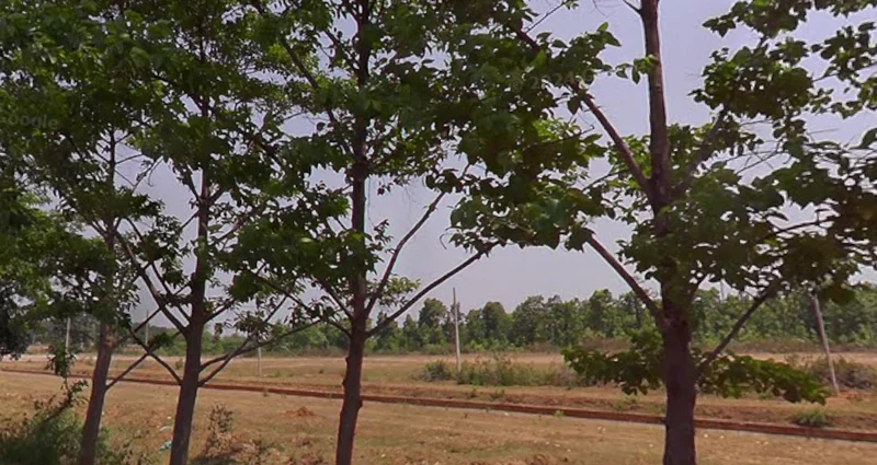 Khunti, Jharkhand 835210, India preview 3