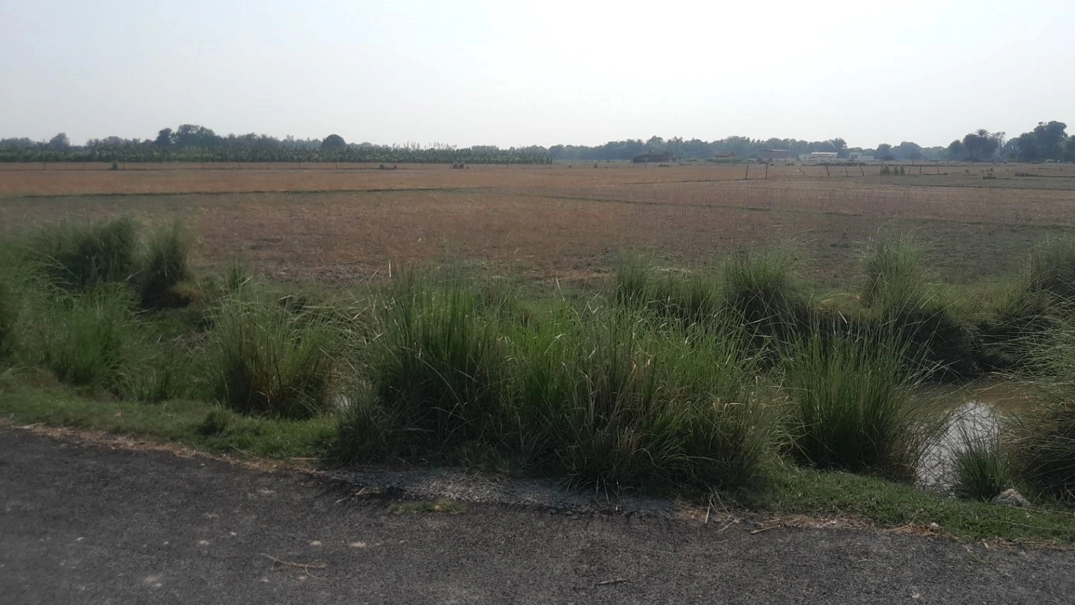 P3JP+8M Ballipur, Uttar Pradesh, India