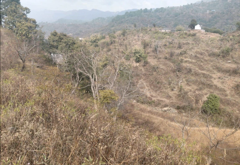 Morni Hills, Haryana, India