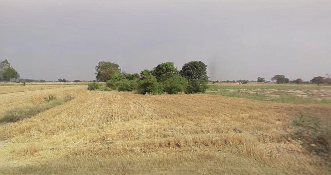 Barnagar, Madhya Pradesh 456771, India