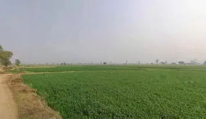 Kherli - Kathumar - Nagar Rd, Kherli, Rajasthan, India preview 2