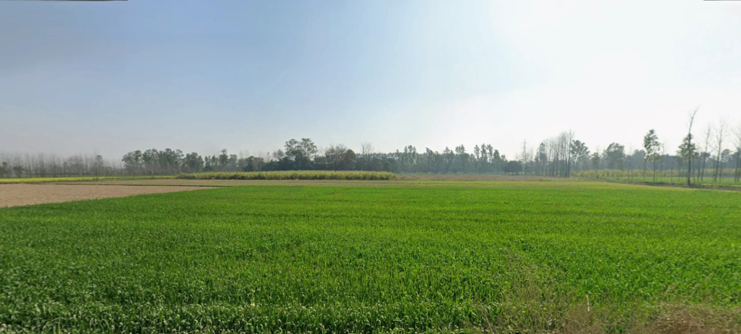 Dharmawala, Herbertpur, Uttarakhand 248142, India