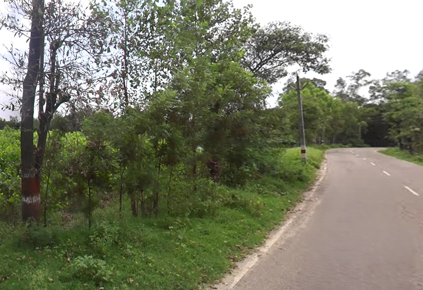 Haiderpur Alis Hinduwala, Uttar Pradesh 247121, India