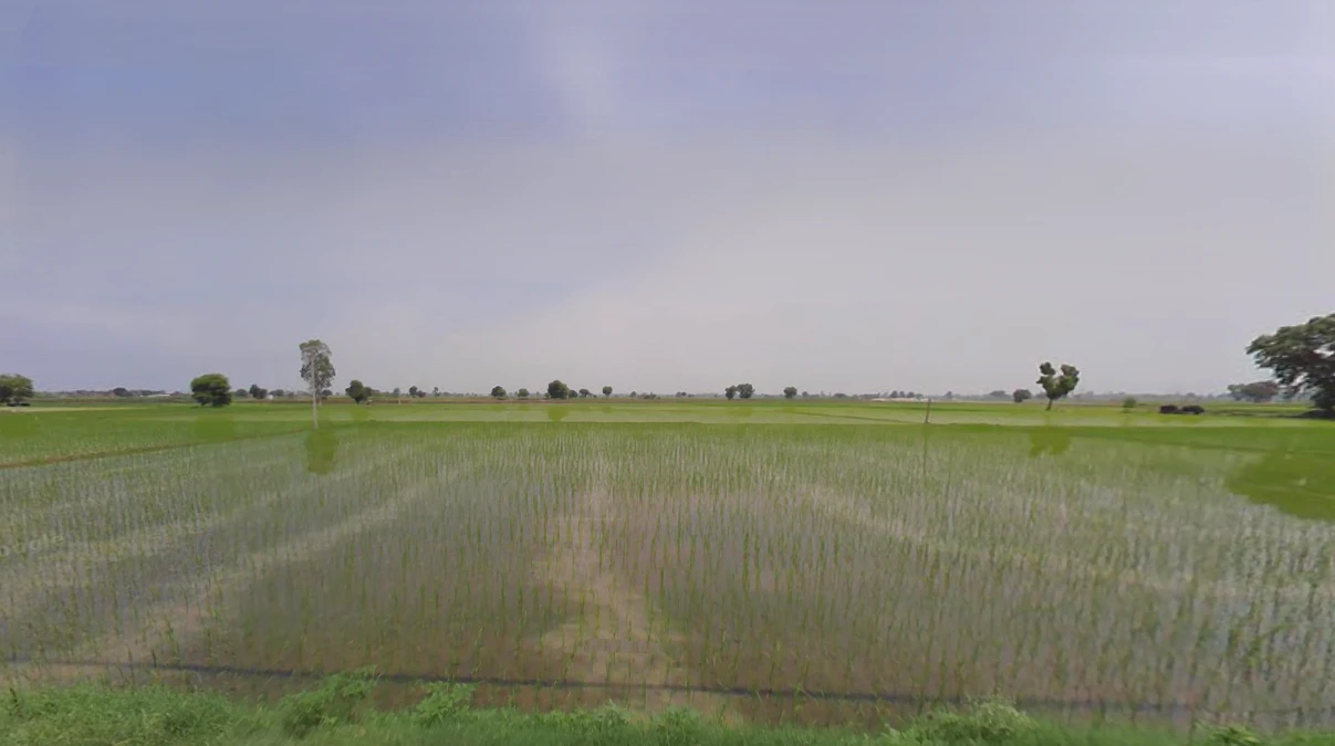 7VJX+4RJ, Balaana, Haryana 132145, India