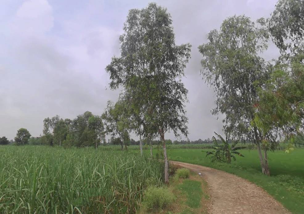 Mirganj, Uttar Pradesh 243504, India