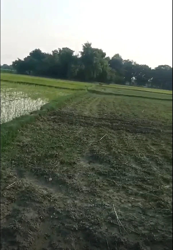 Gorihar, Chhatarpur, Madhya Pradesh 471516, India