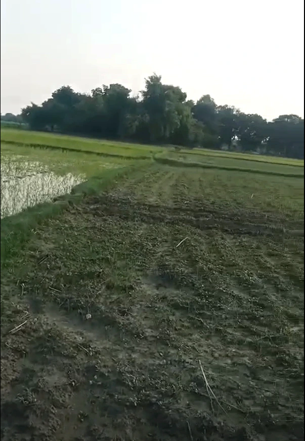 Gorihar, Chhatarpur, Madhya Pradesh 471516, India