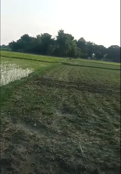 Gorihar, Chhatarpur, Madhya Pradesh 471516, India preview 2