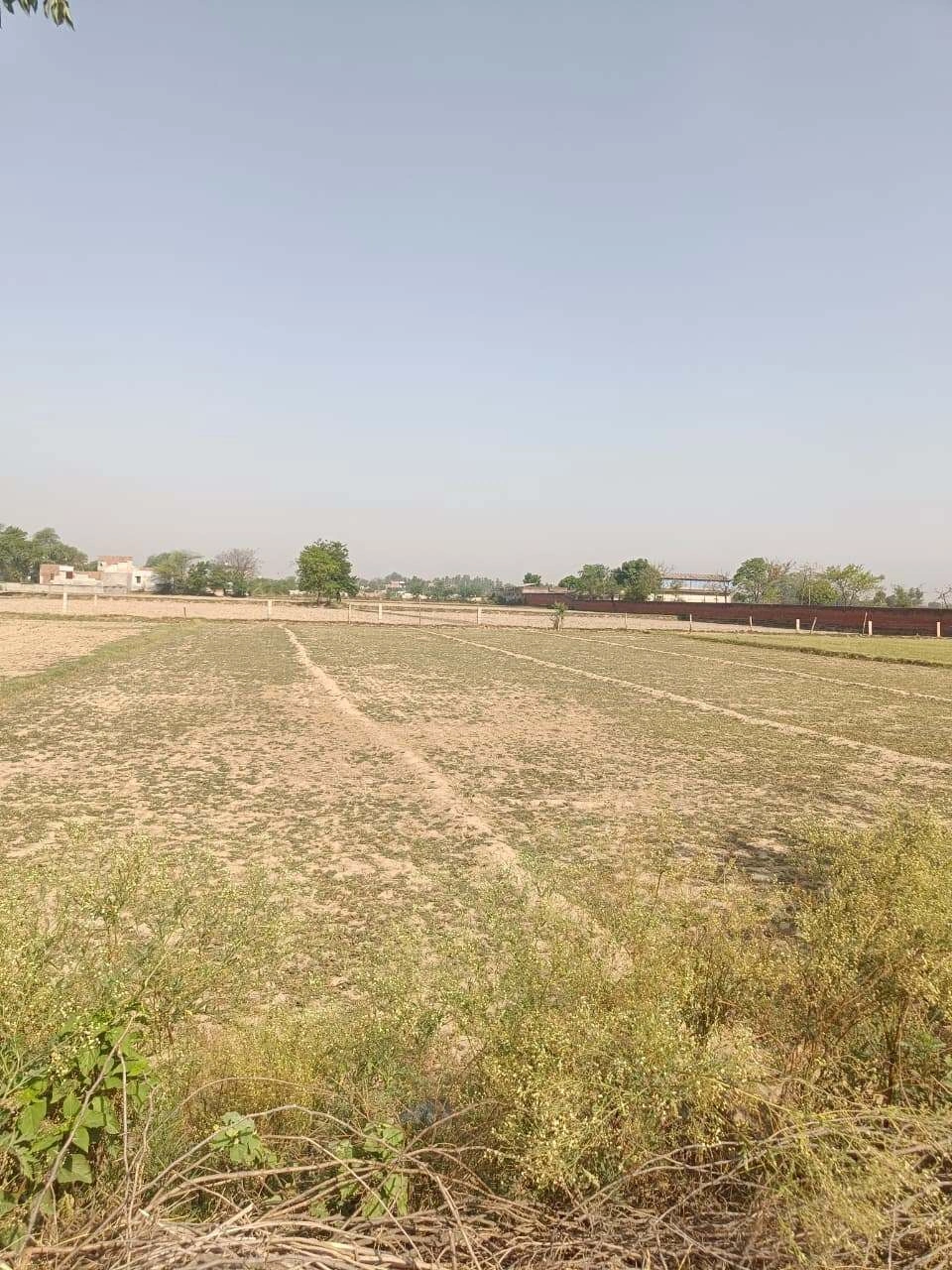 Ajhai Kalan, Uttar Pradesh 281406, India