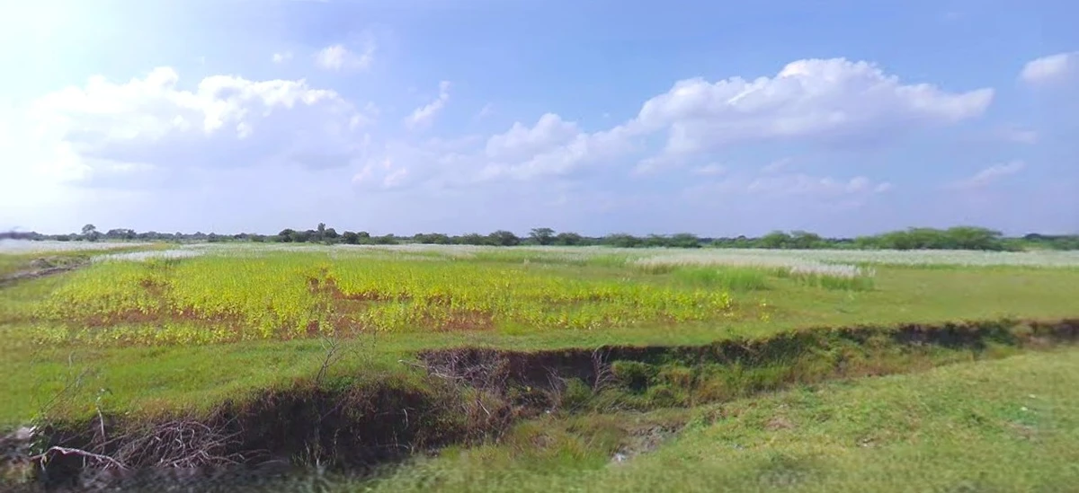 Bijnor, Uttar Pradesh 246701, India