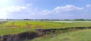 Bijnor, Uttar Pradesh 246701, India preview 2