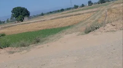 Raipur Rani, Haryana 134204, India preview 3