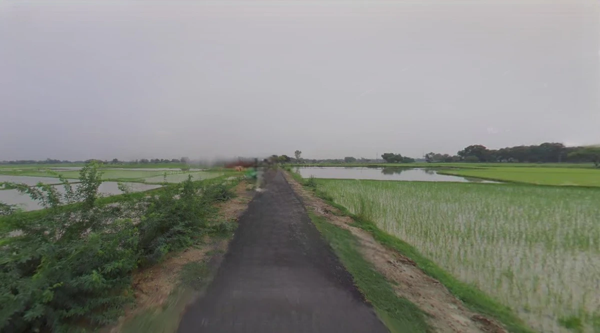 Kothi, Madhya Pradesh 485666, India