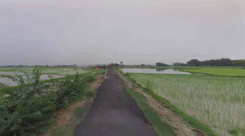 Kothi, Madhya Pradesh 485666, India preview 3