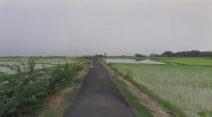 Kothi, Madhya Pradesh 485666, India preview 3