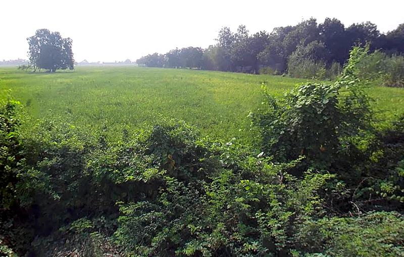 Ral, Uttar Pradesh, India preview 3