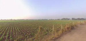 X25G+MG Vanthal, Gujarat, India preview 2