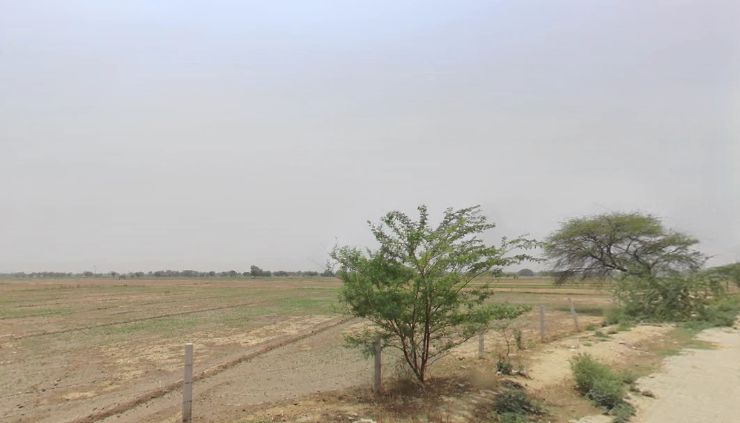 Sector 24, Sonipat, Haryana 131001, India