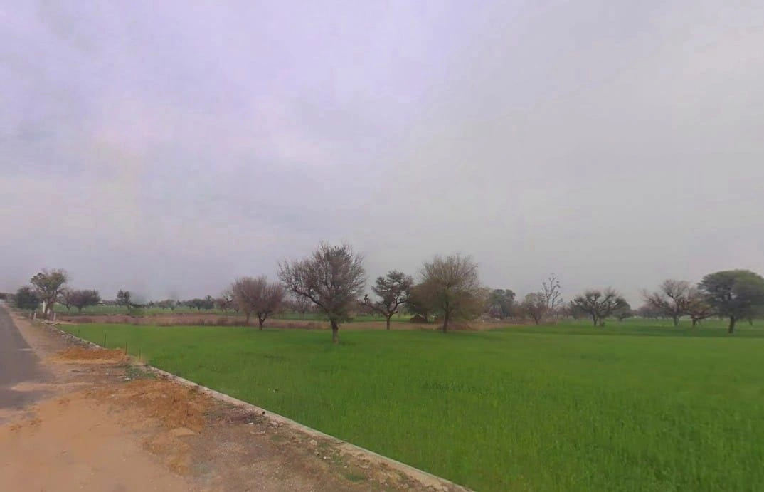 8CF5+5WV, Lamiyan, Rajasthan, India preview 3