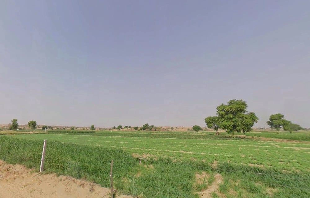 Thethar, Rajasthan, India