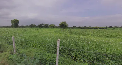 Bhagwanpura, Rajasthan 311026, India preview 3