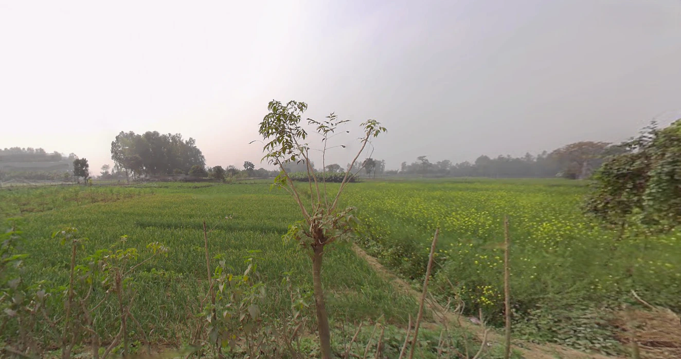 Muragachha, West Bengal, India