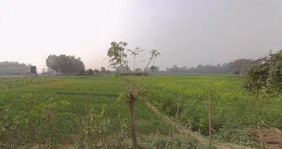 Muragachha, West Bengal, India preview 2