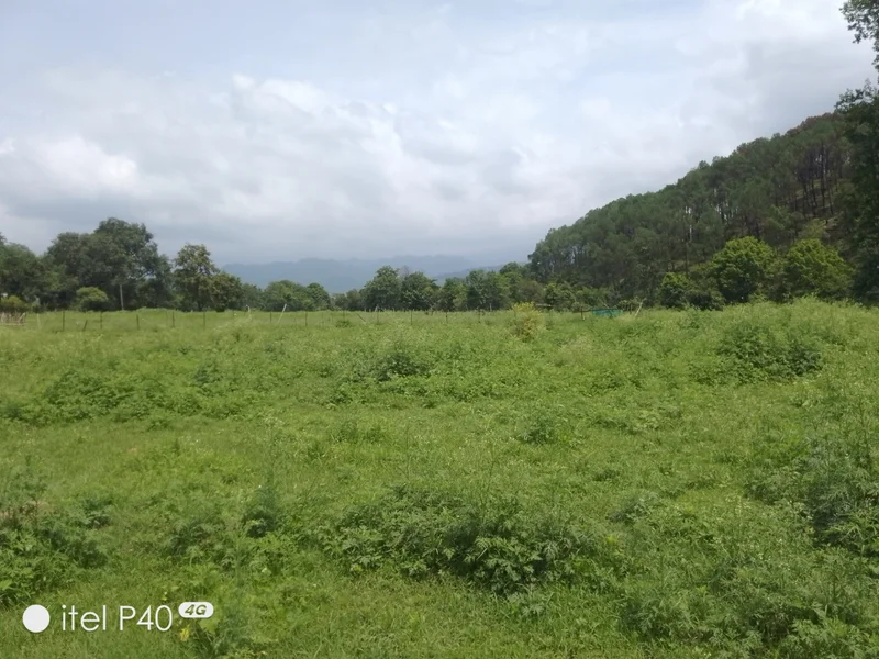 Shahpur, Himachal Pradesh, India preview 4