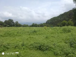 Shahpur, Himachal Pradesh, India preview 4