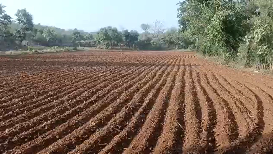 XJCV+JR Marhpura, Kannauj, Uttar Pradesh, India
