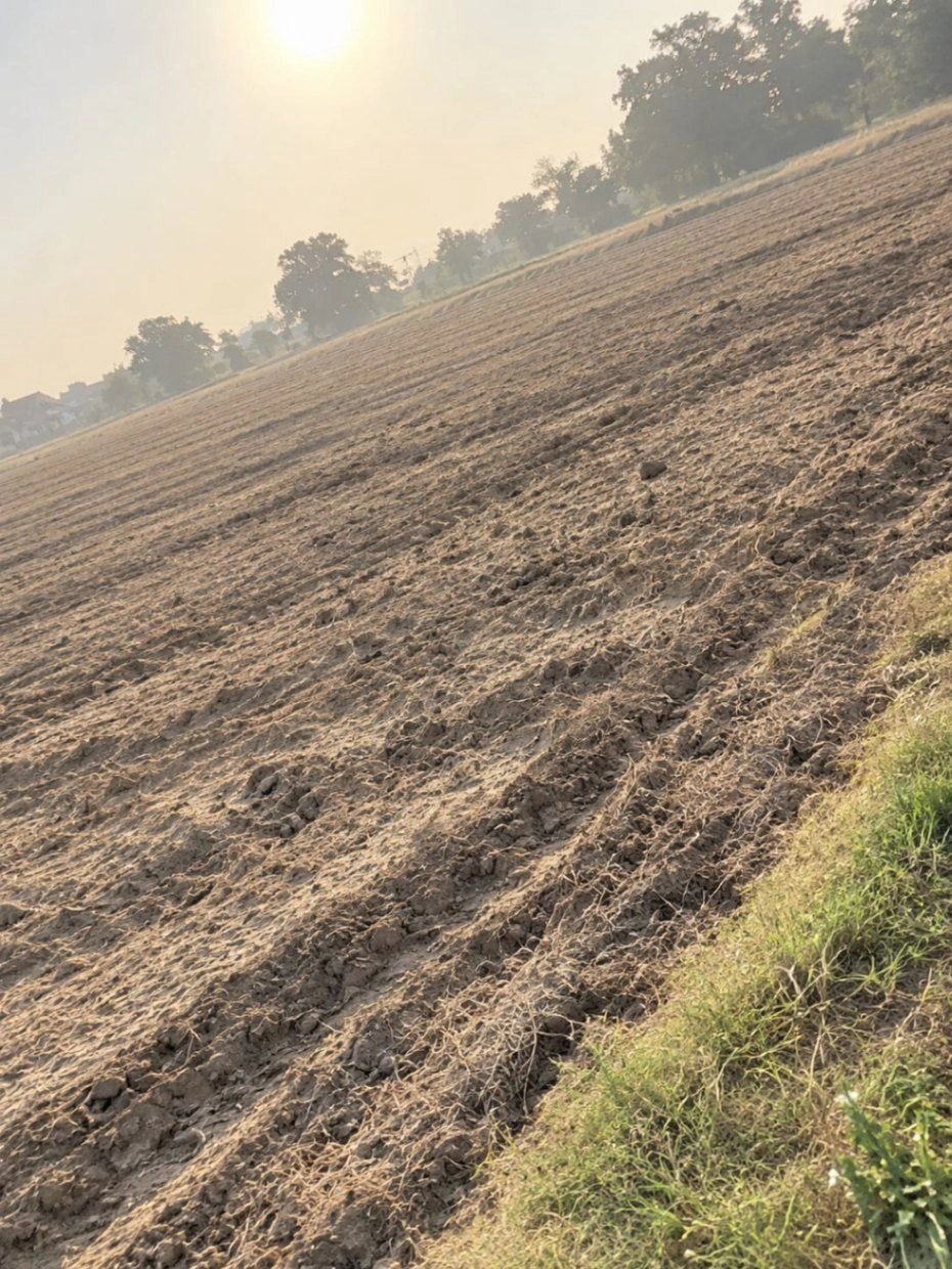 Dhana Khema, Mathura, Uttar Pradesh 281122, India